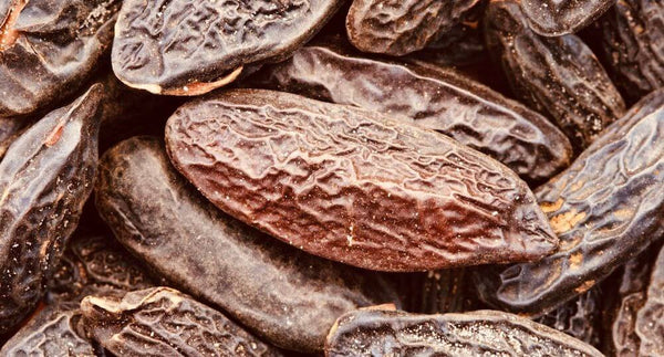 TONKA BEAN – THE SECRET INGREDIENT TO MANY SCENTED PRODUCTS