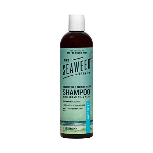 Sbc shamp moist unscnt ( 1 x 12 oz   )